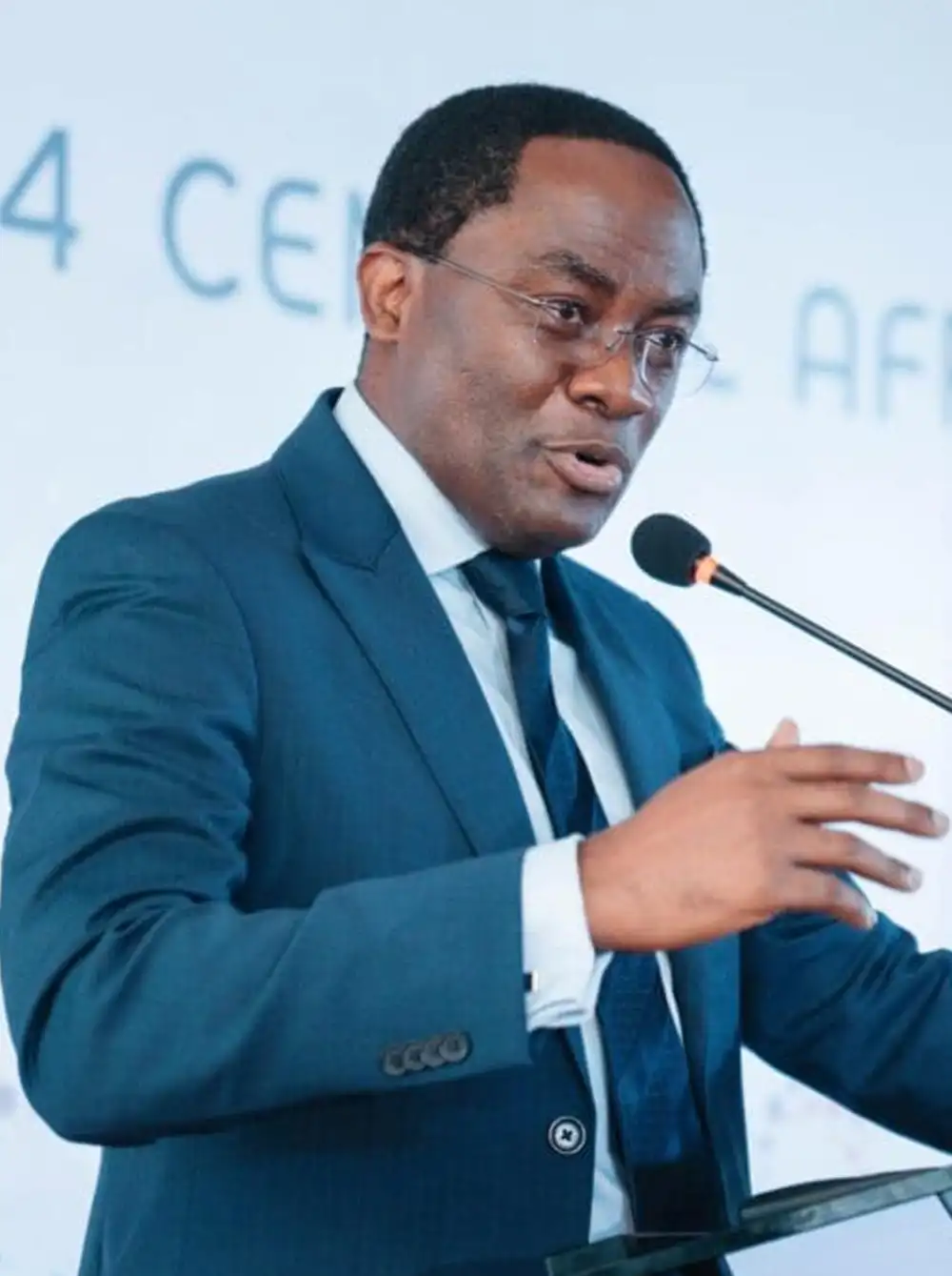 Africa Policy and Strategic Development Institute (APSDI)