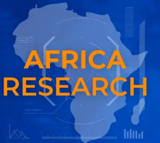 Africa Policy and Strategic Development Institute (APSDI)